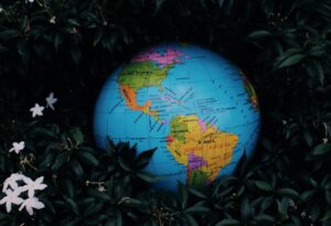 earth globe toy placed among green plants