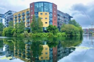 Hackney Beyond Green litter pick canal