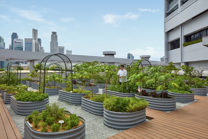 Urban Farm